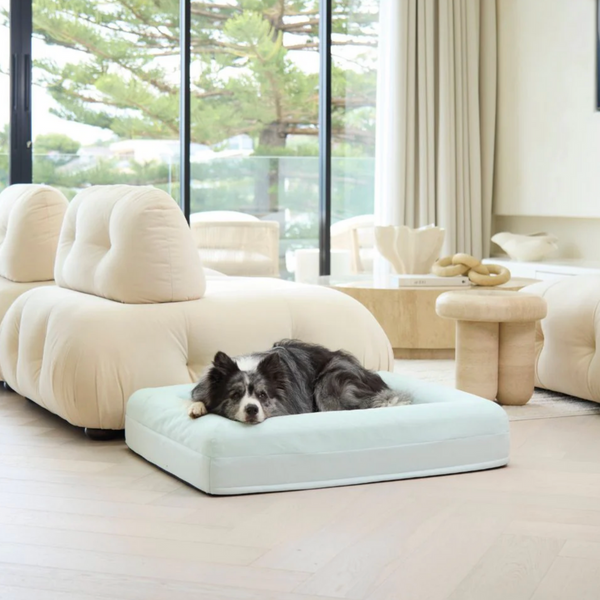 Dazy Dog Bed Cover Outlast Cooling Eucalyptus