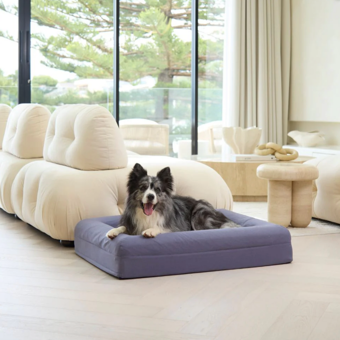 Dazy Dog Bed Cover Outlast Cooling Midnight