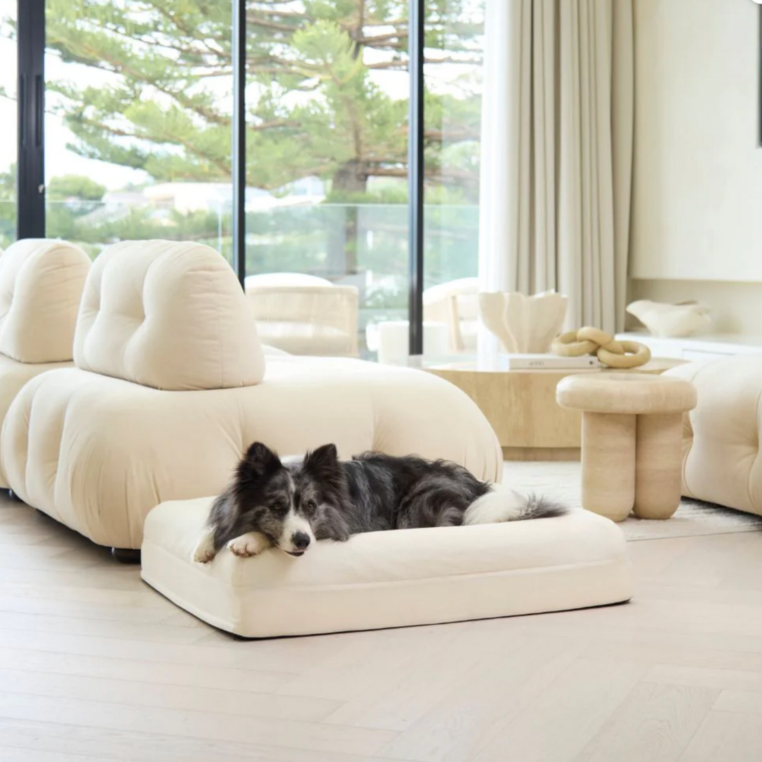 Dazy Dog Bed Cover Outlast Cooling Natural