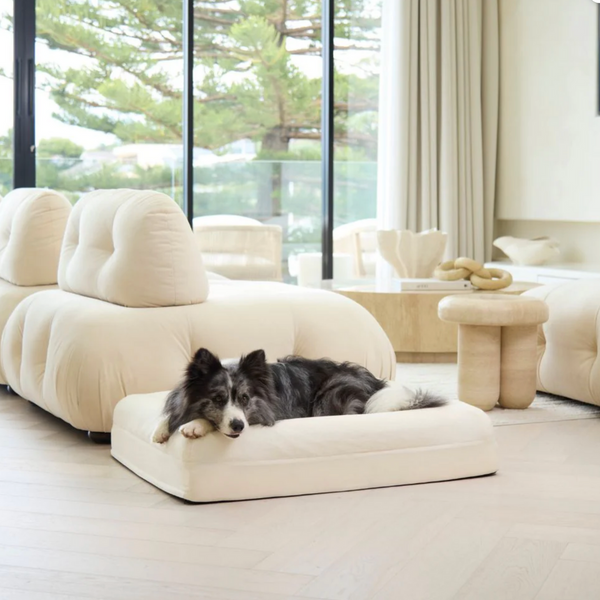 Dazy Dog Bed Cover Outlast Cooling Natural