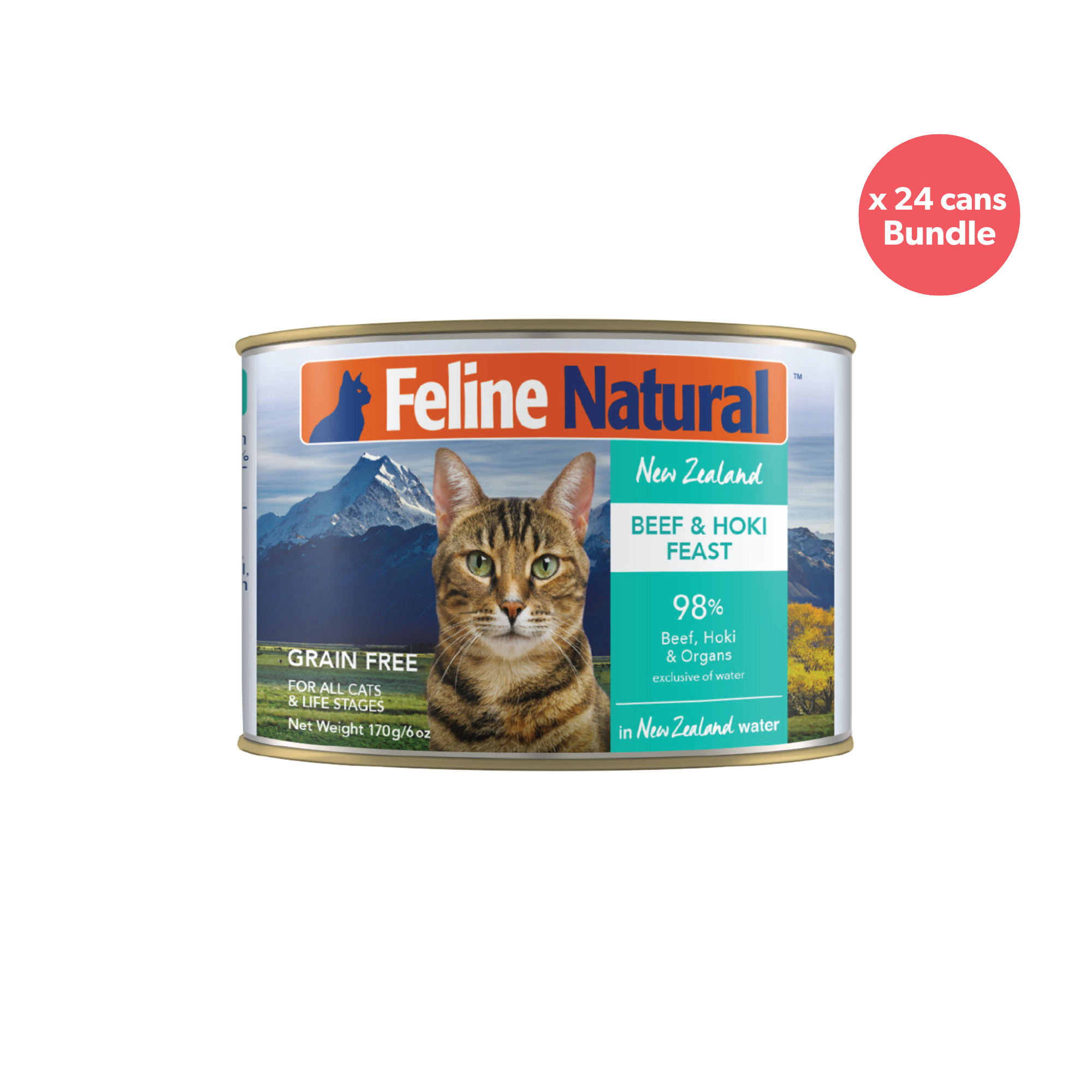 Feline Natural BPA Free & Gelatin Free Canned Cat Food Beef & Hoki 170g x 24