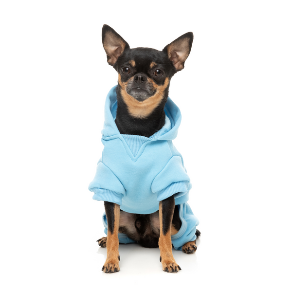 FuzzYard Chillin' Dog Tracksuit Blue