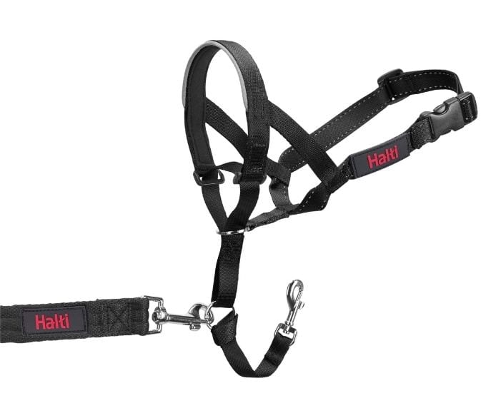 Halti Dog Headcollar Black