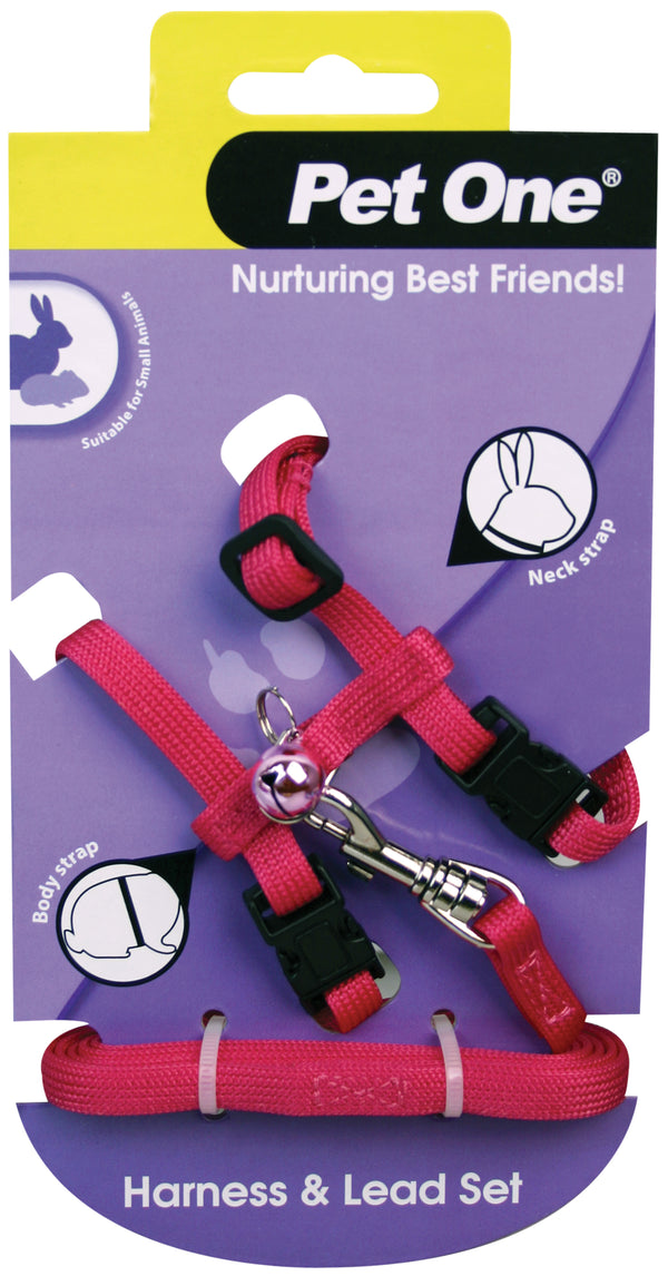 Pet One Leash & Harness for Small Animals Pink
