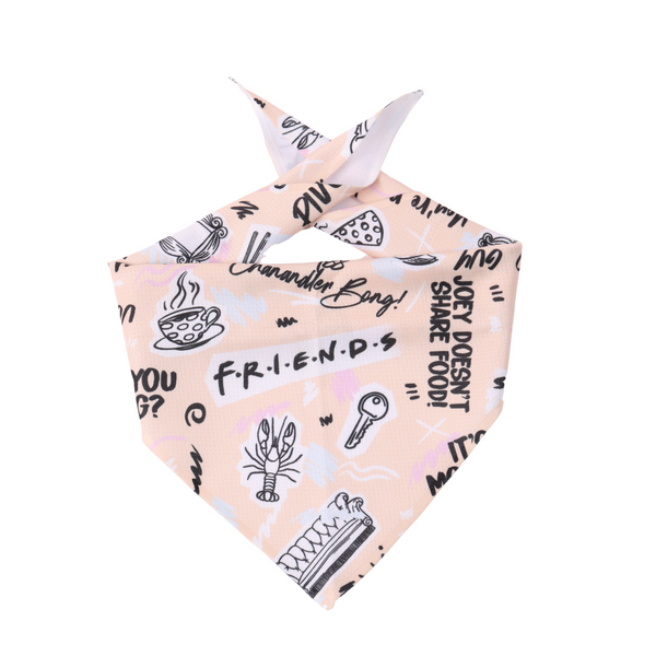 Petverse Friends Pet Bandana
