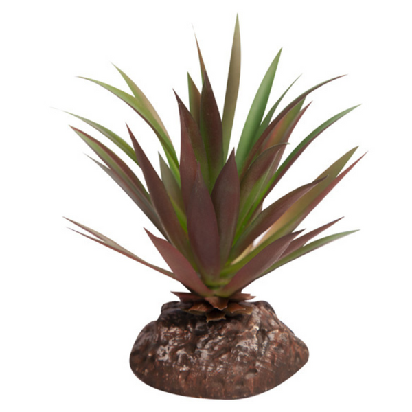 Reptile One Plant Mini Crassula Green Red with Ceramic Base