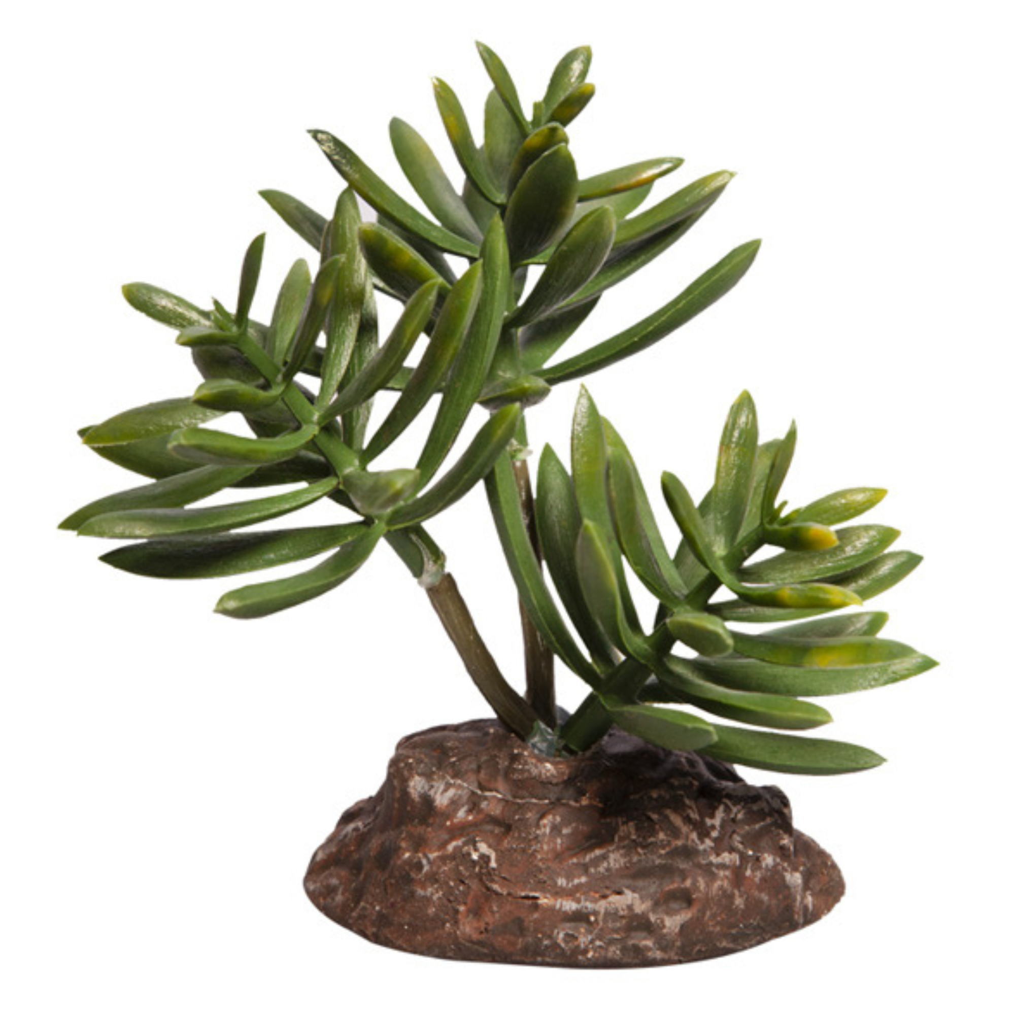 Reptile One Plant Mini Senecio Green with Ceramic Base