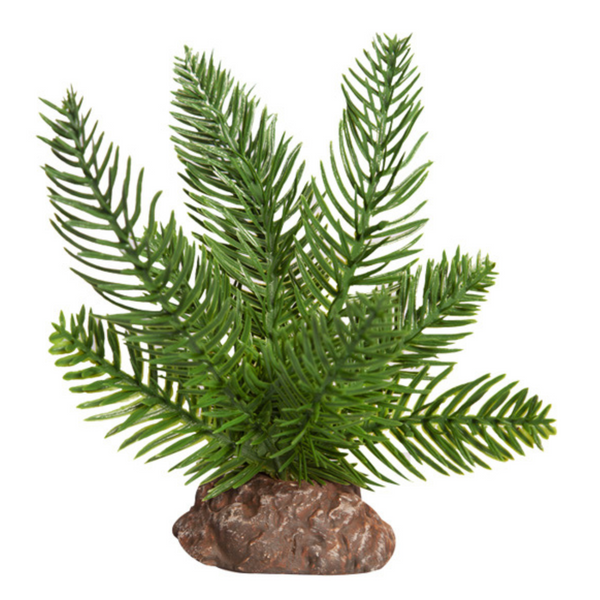 Reptile One Plant Small Sago Palm Green with Ceramic Base