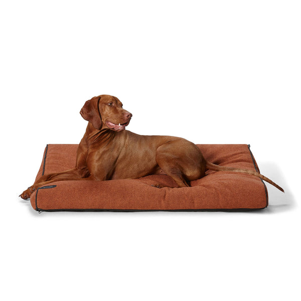 Snooza Modern Day Dog Bed Paprika