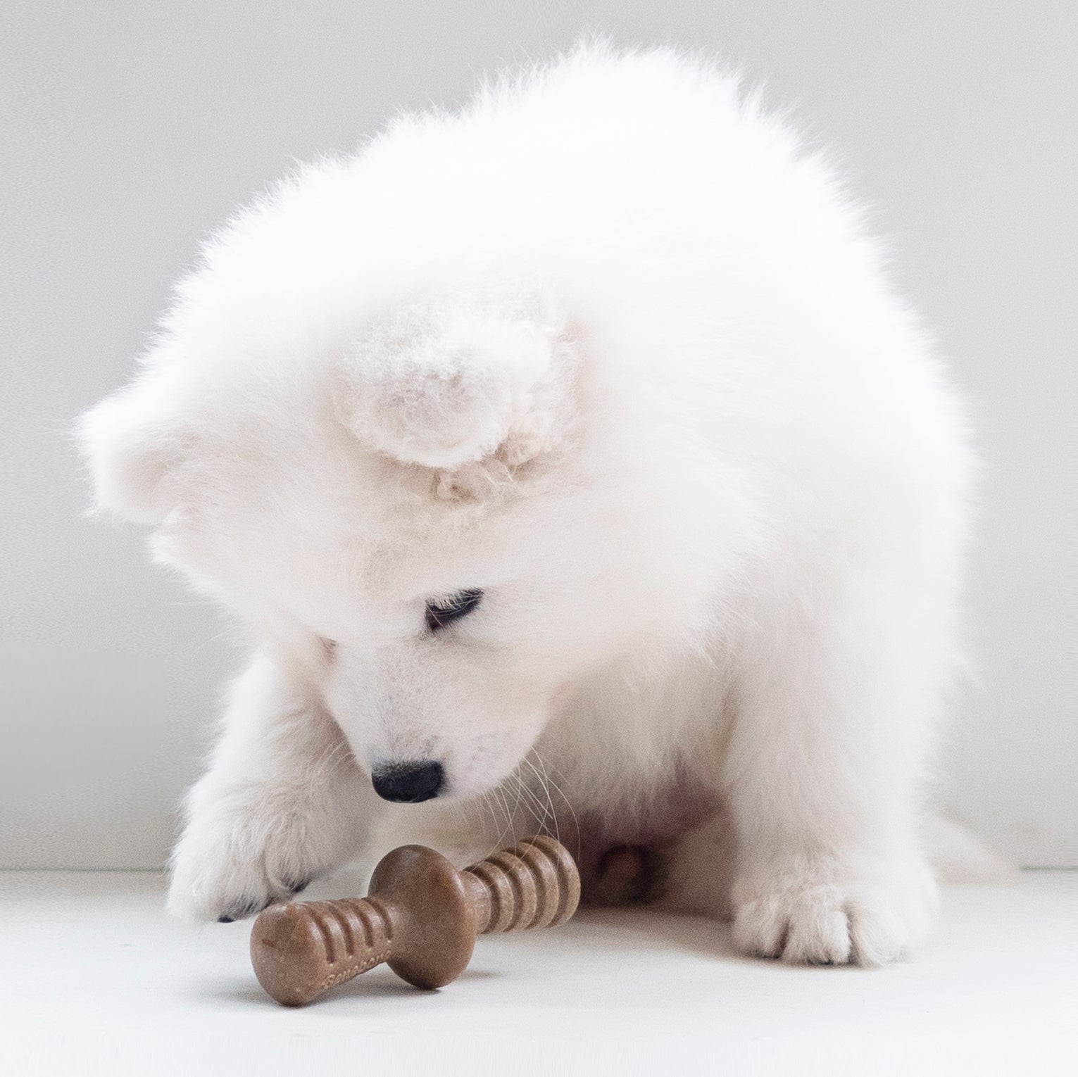 Benebone Maplestick And Zaggler Bacon Puppy Toy 2 Pack