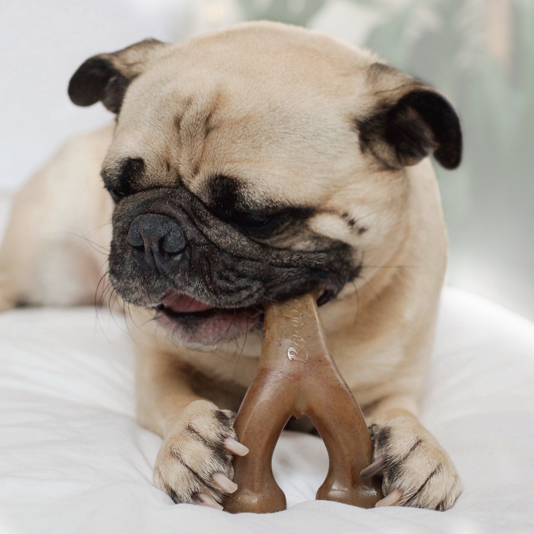 Benebone Wishbone Peanut Dog Toy