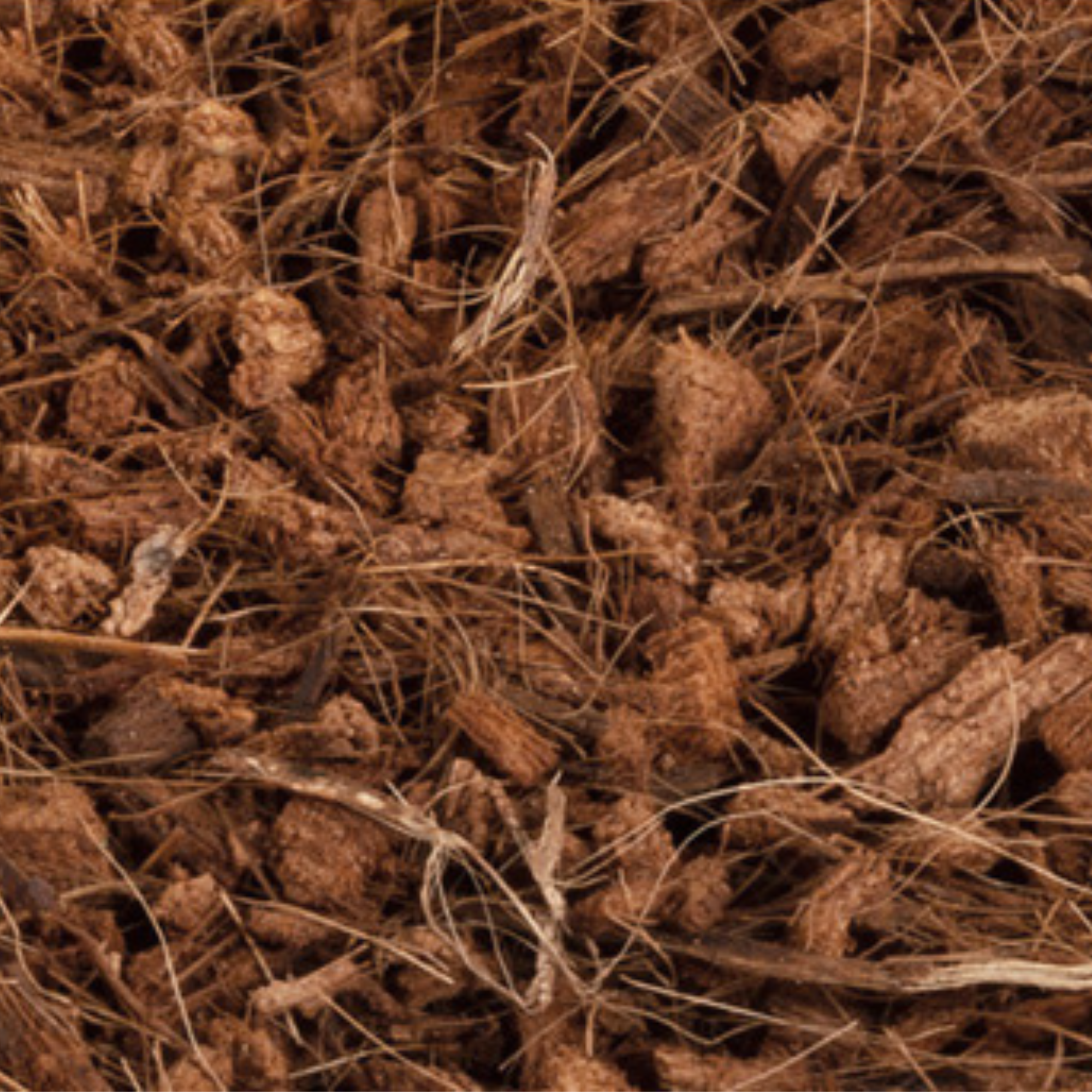 Critters Comfort Reptile Bedding Coarse 20L