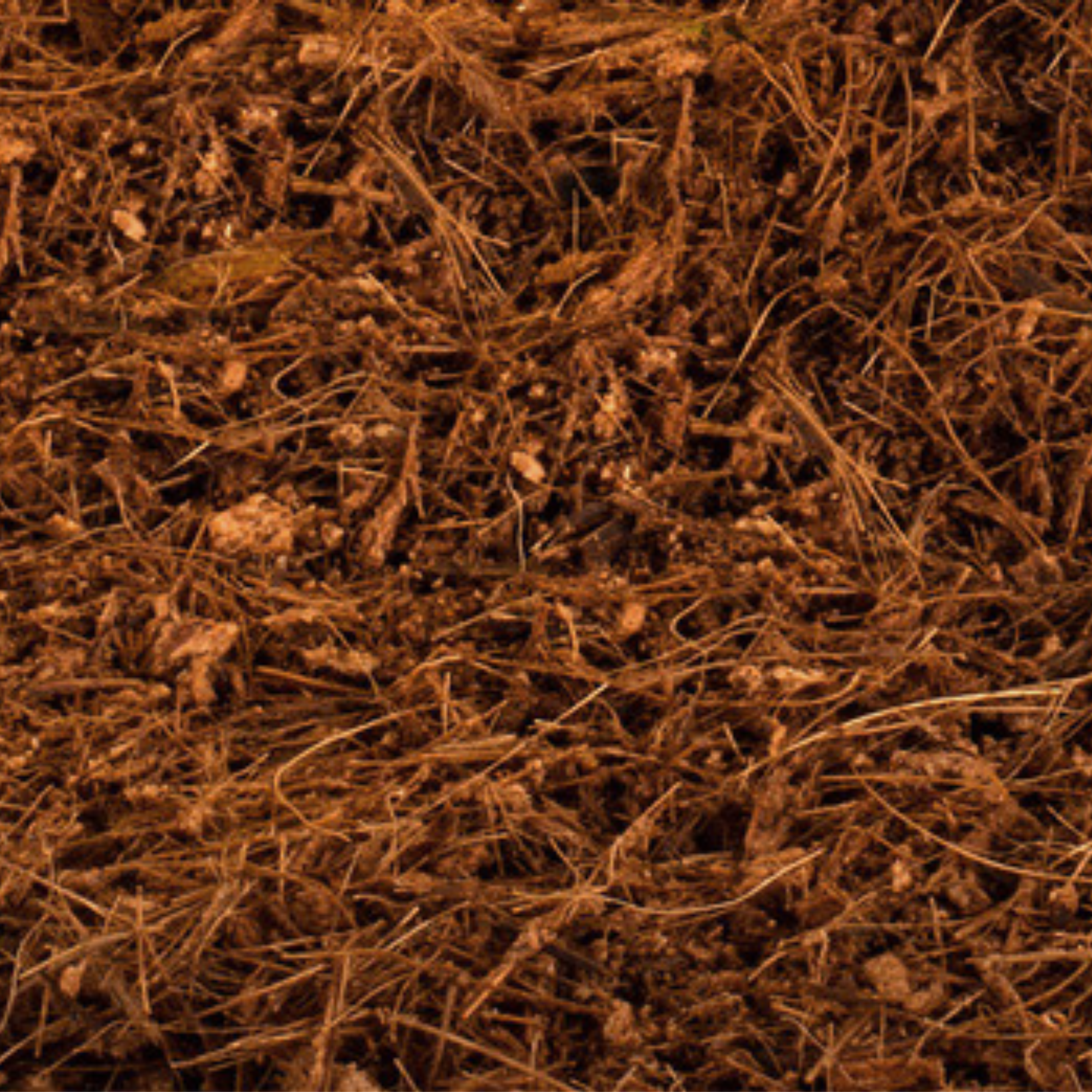 Critters Comfort Reptile Bedding Fine 20L