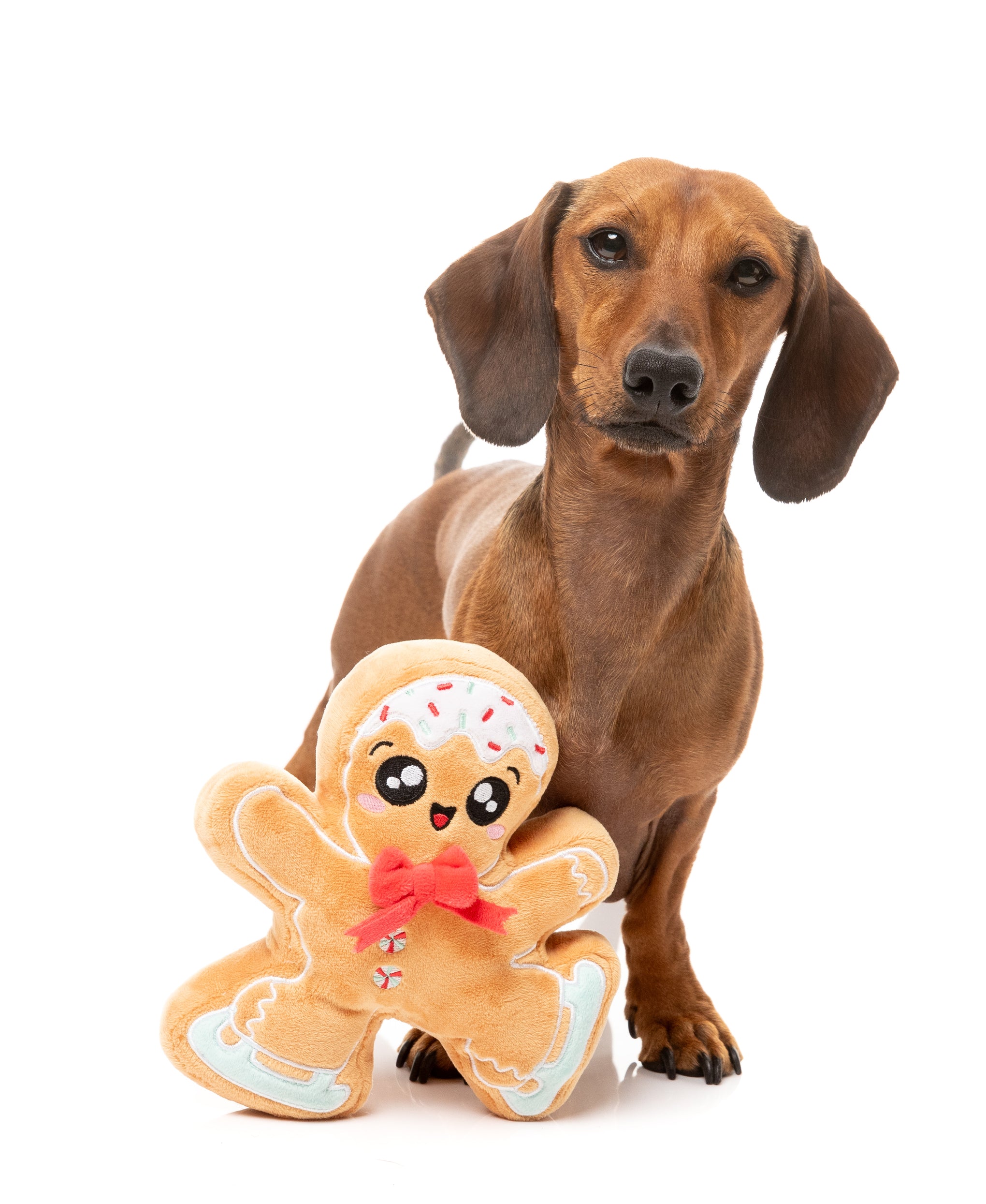 FuzzYard Christmas Biscuit Blader Dog Toy