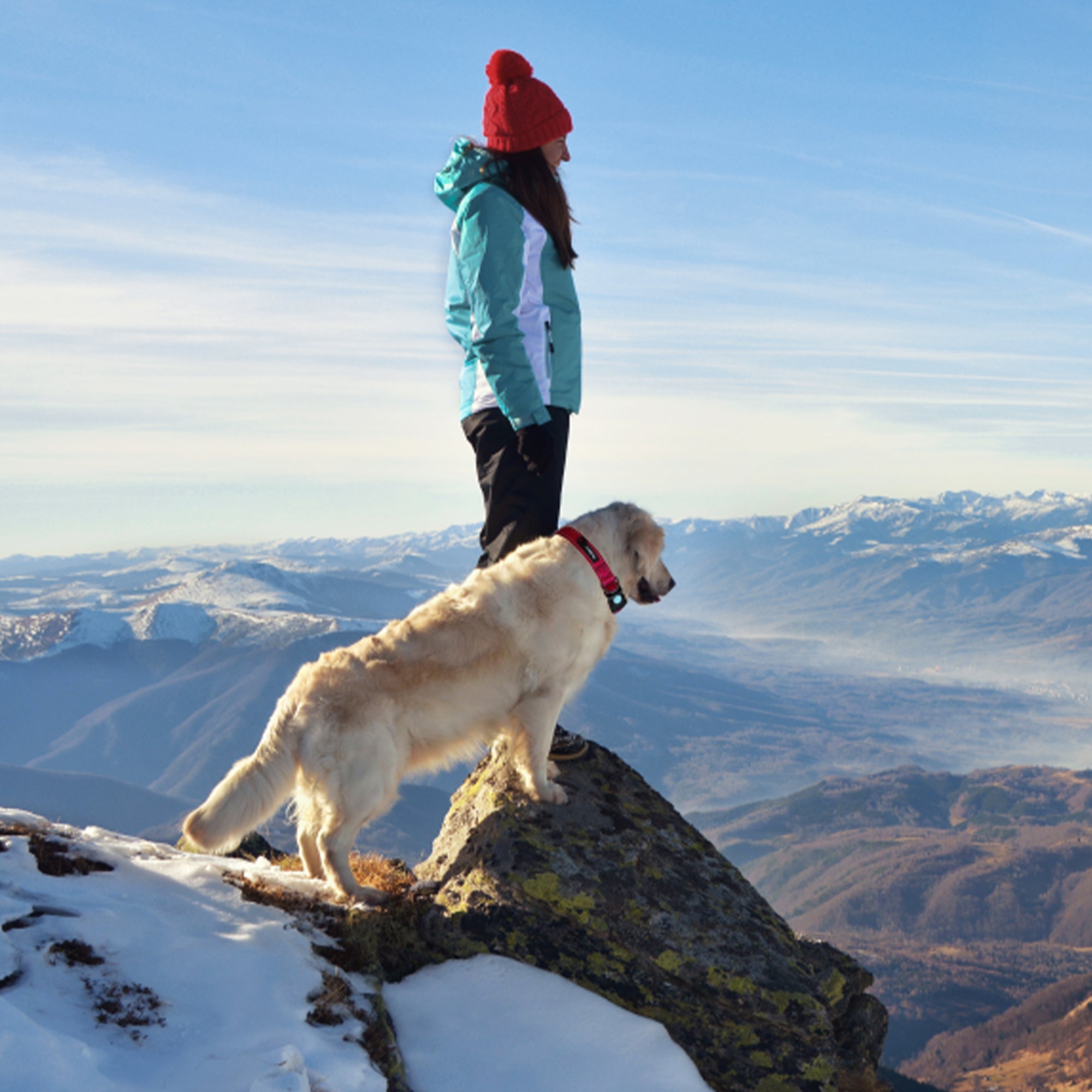 Huskimo Trekpro Dog Collar Uluru