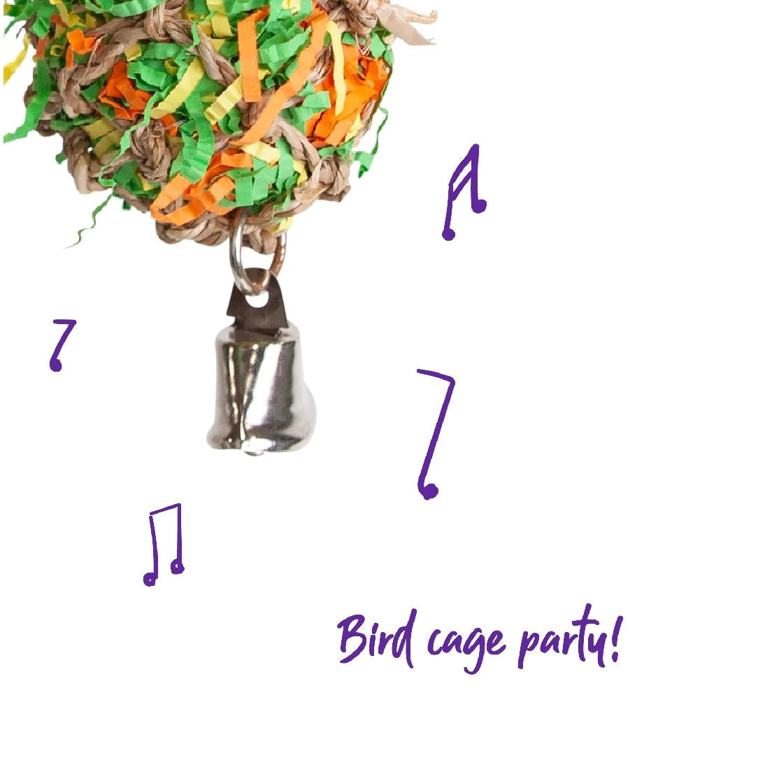 Kazoo Crinkle Ball With Bell Bird Toy Medium