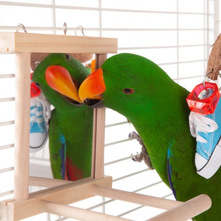 Kazoo Mirror with Wooden Perch Bird Toy Medium