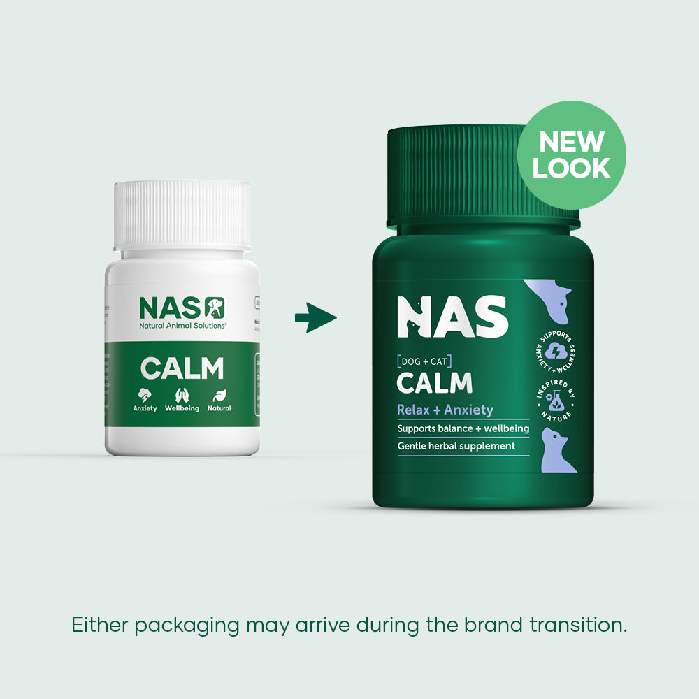 Natural Animal Solutions Dog and Cat Calm