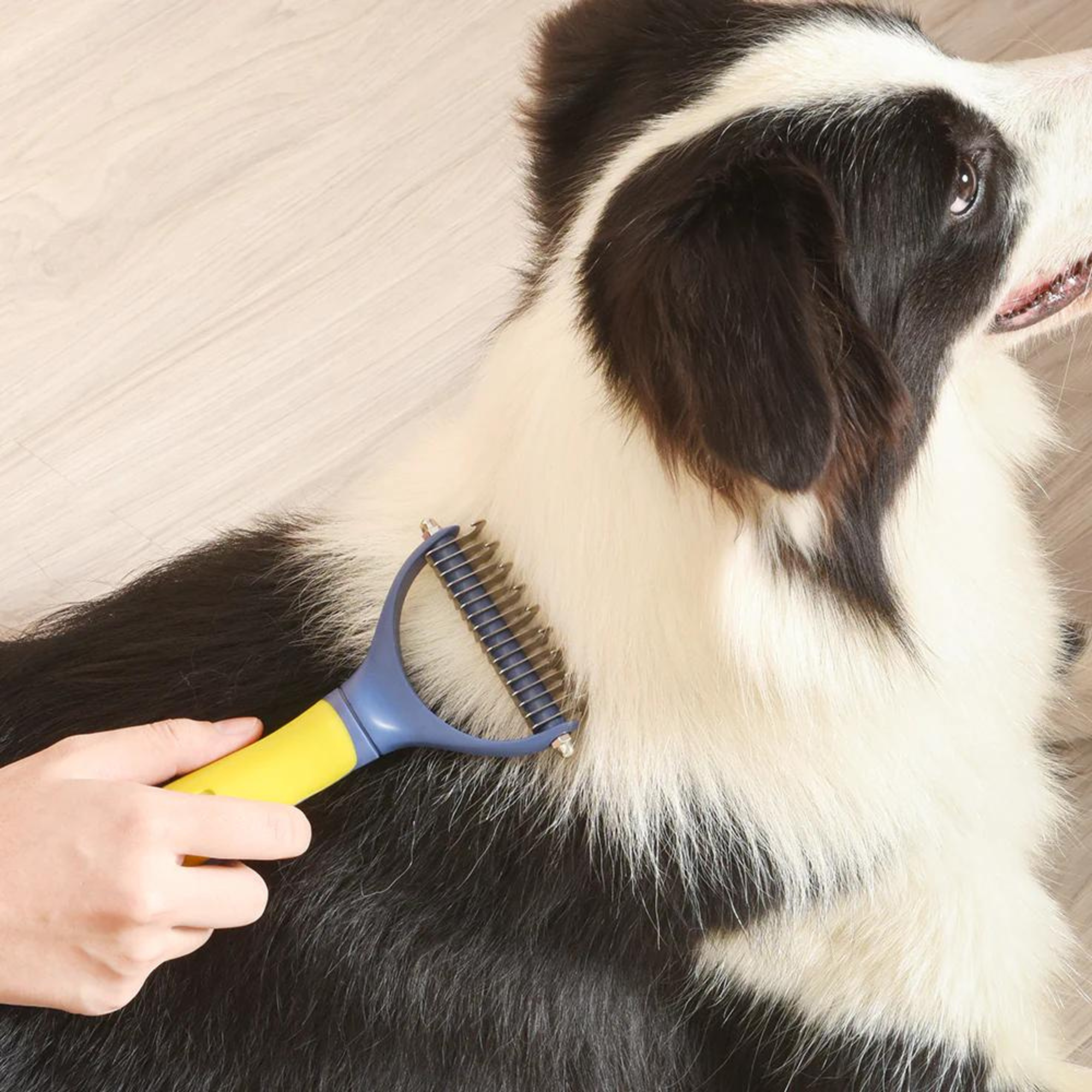 Pakeway T10 Dematting Pet Rake