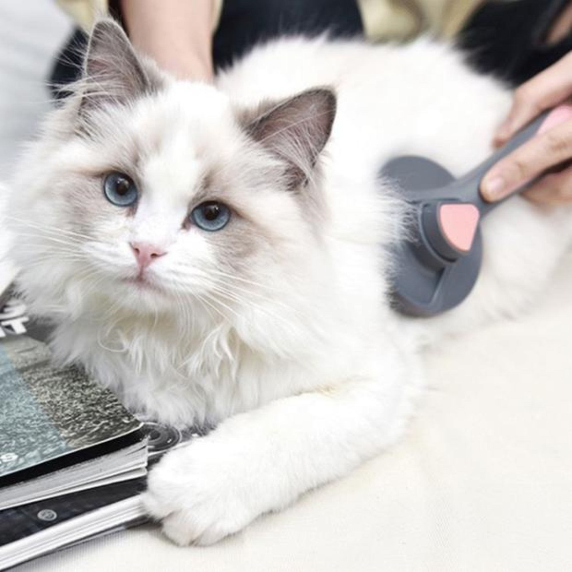 Pakeway T9 Needle Slicker Pet Comb