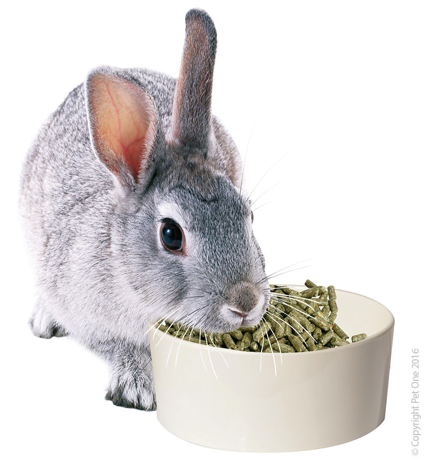 Pet One Small Animal Bowl Melamine