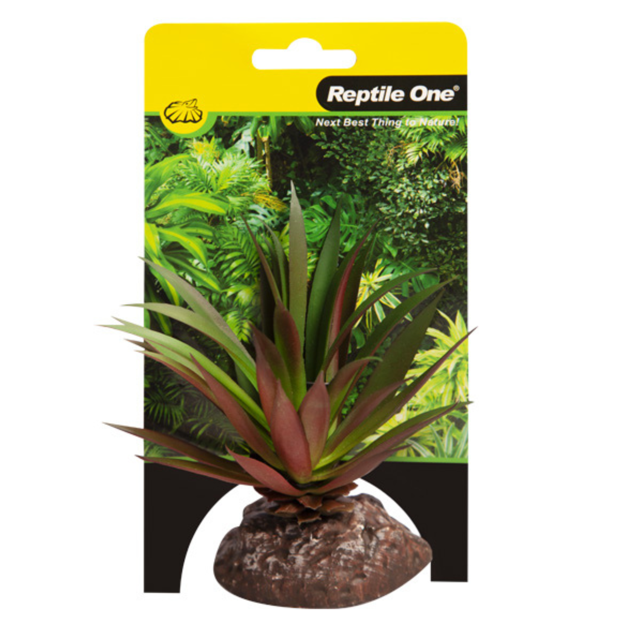 Reptile One Plant Mini Crassula Green Red with Ceramic Base