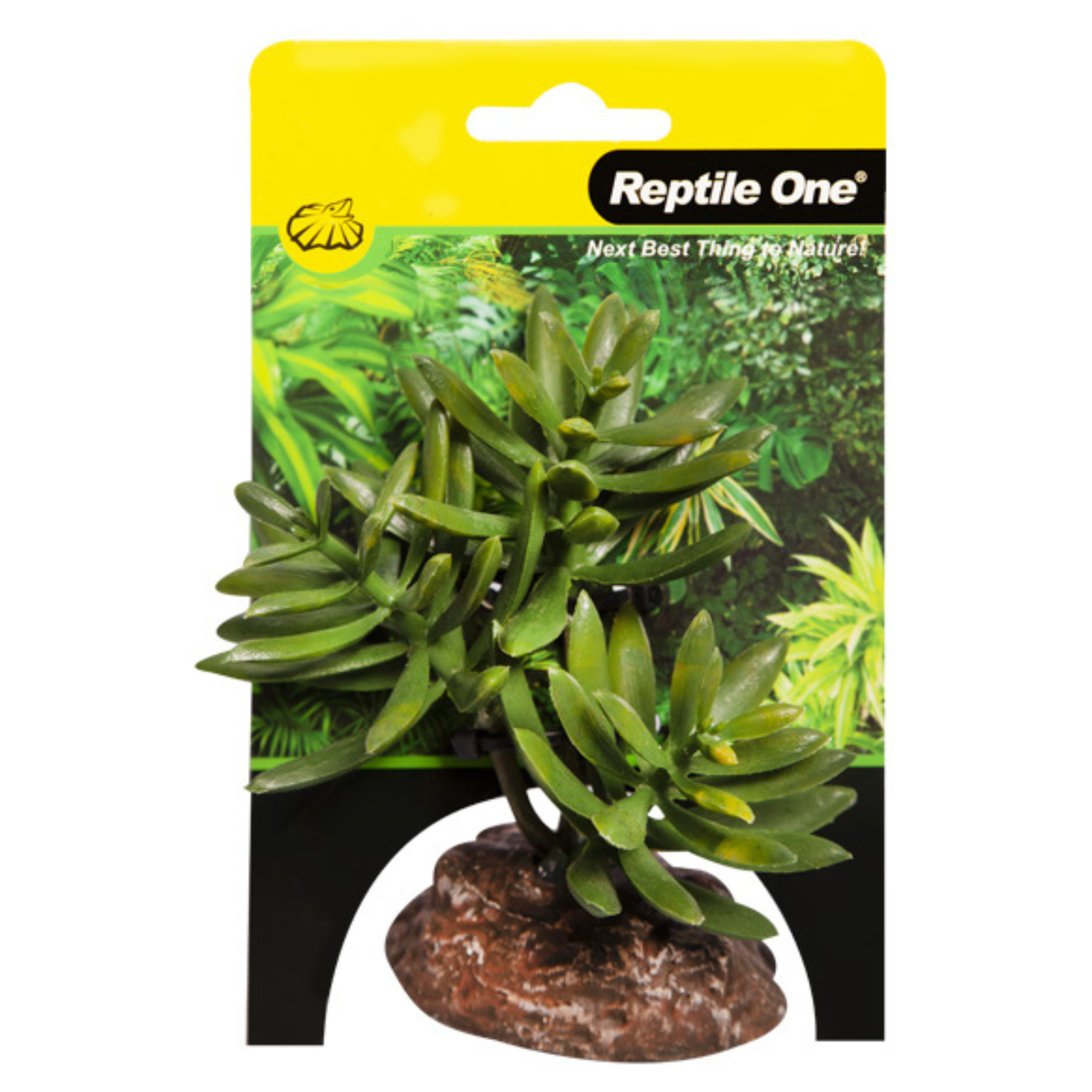 Reptile One Plant Mini Senecio Green with Ceramic Base