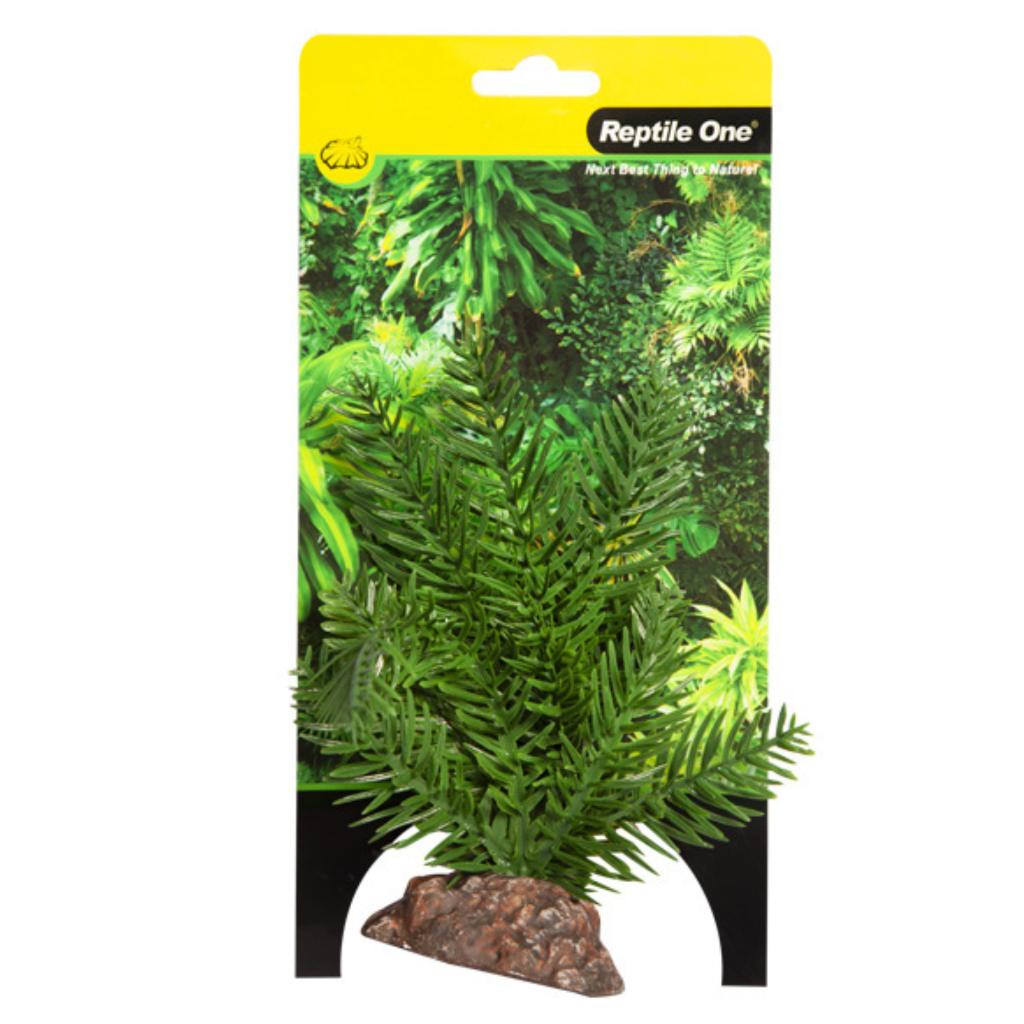 Reptile One Plant Small Sago Palm Green with Ceramic Base