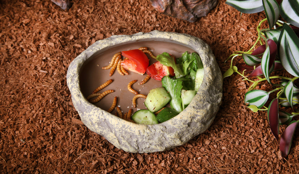 Reptile One Reptile Dish Sandstone