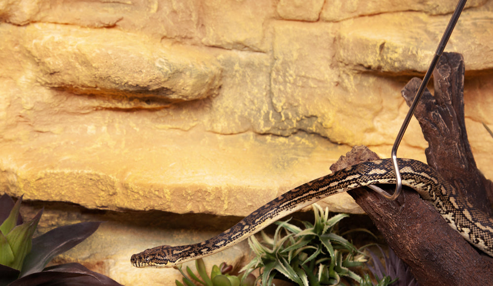 Reptile One Snake Extendable Nano Hook