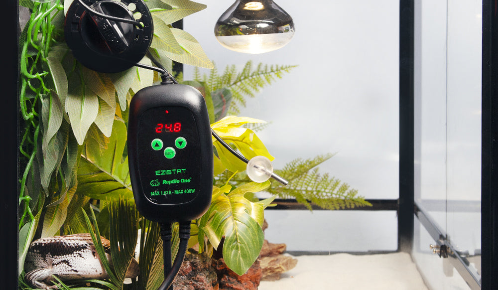 Reptile One Thermostat EziStat