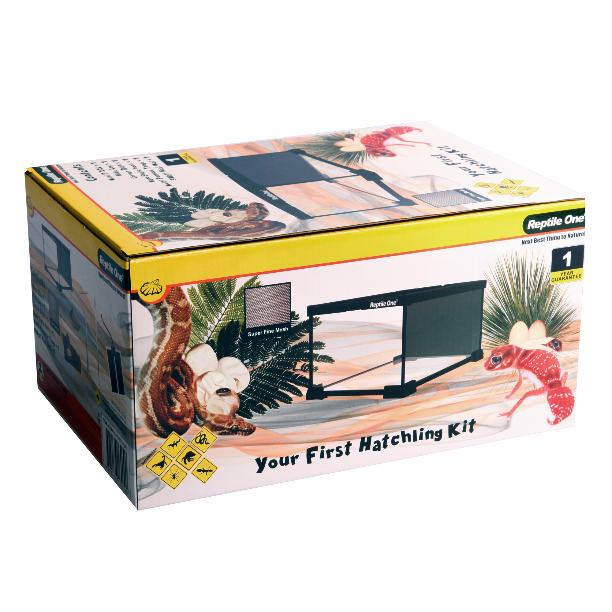 Reptile One Your First Hatchling Kit