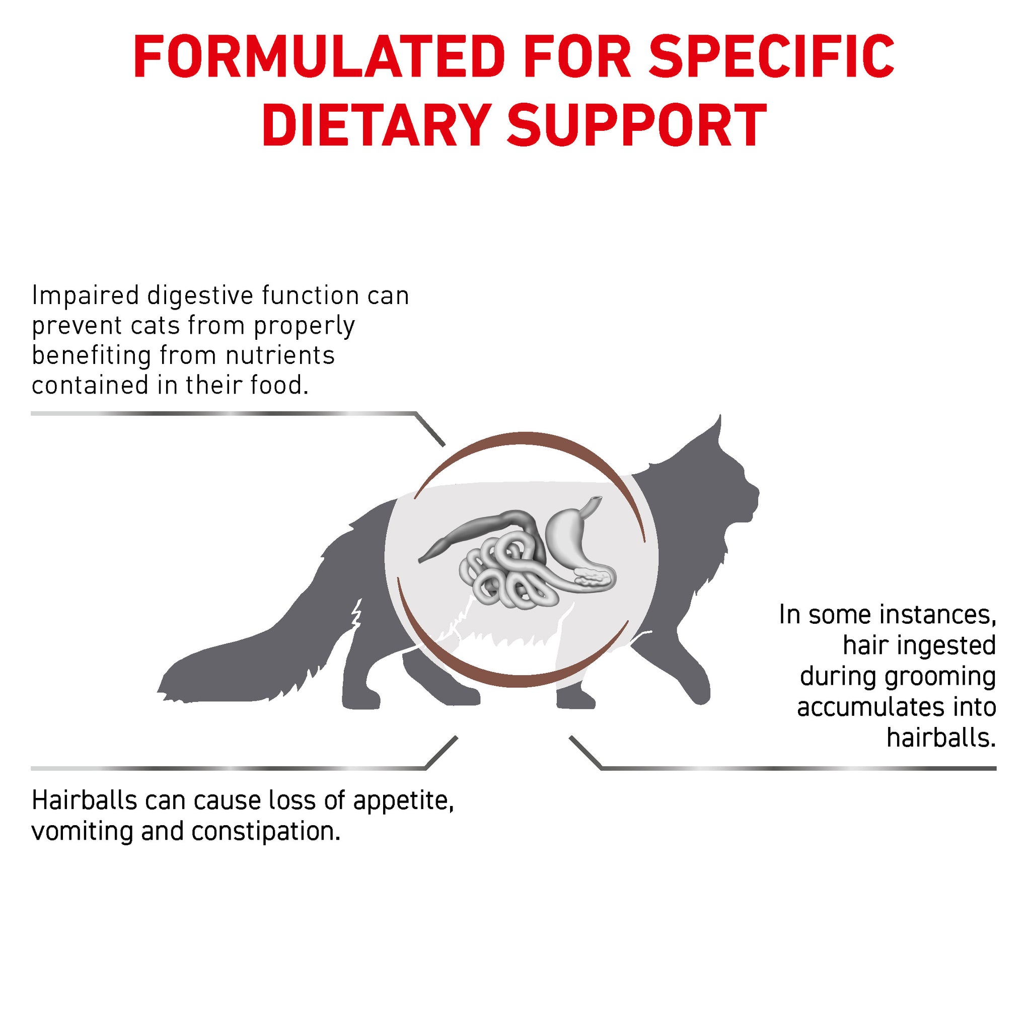 Royal Canin Veterinary Diet Gastrointestinal Hairball Adult Dry Cat Food