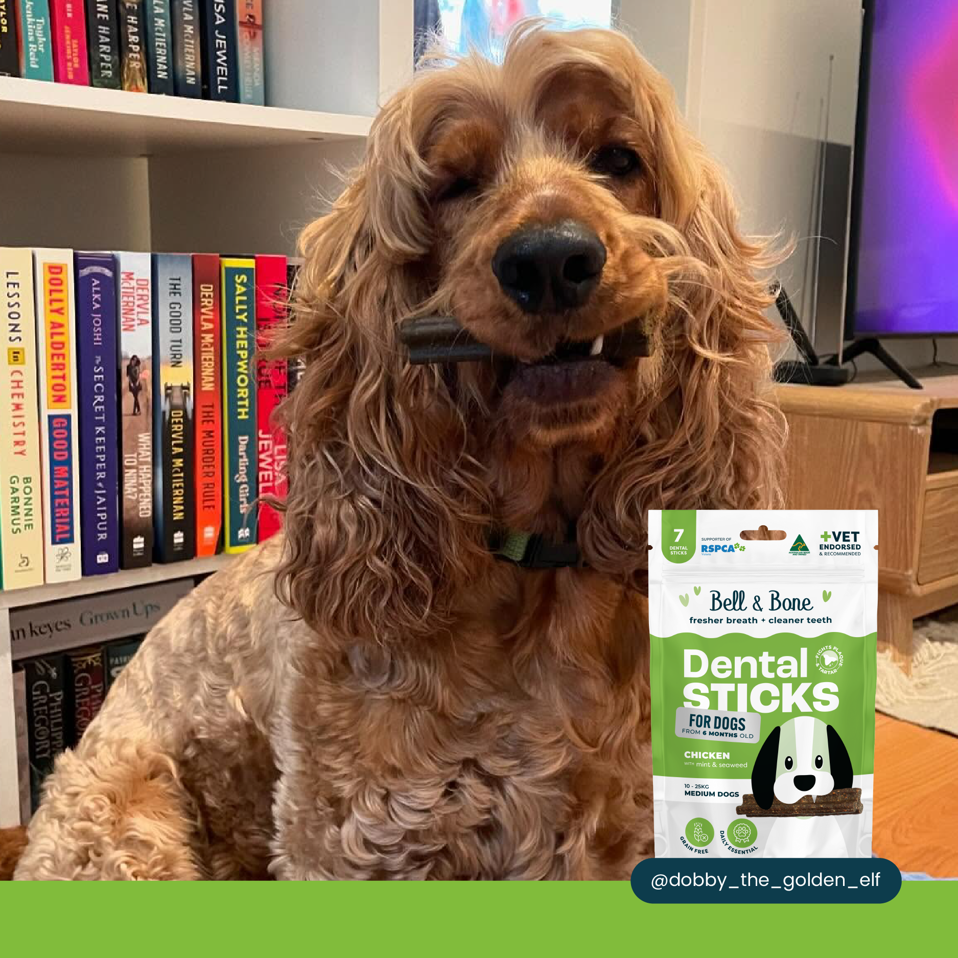 Bell & Bone Dental Sticks Chicken Mint and Seaweed