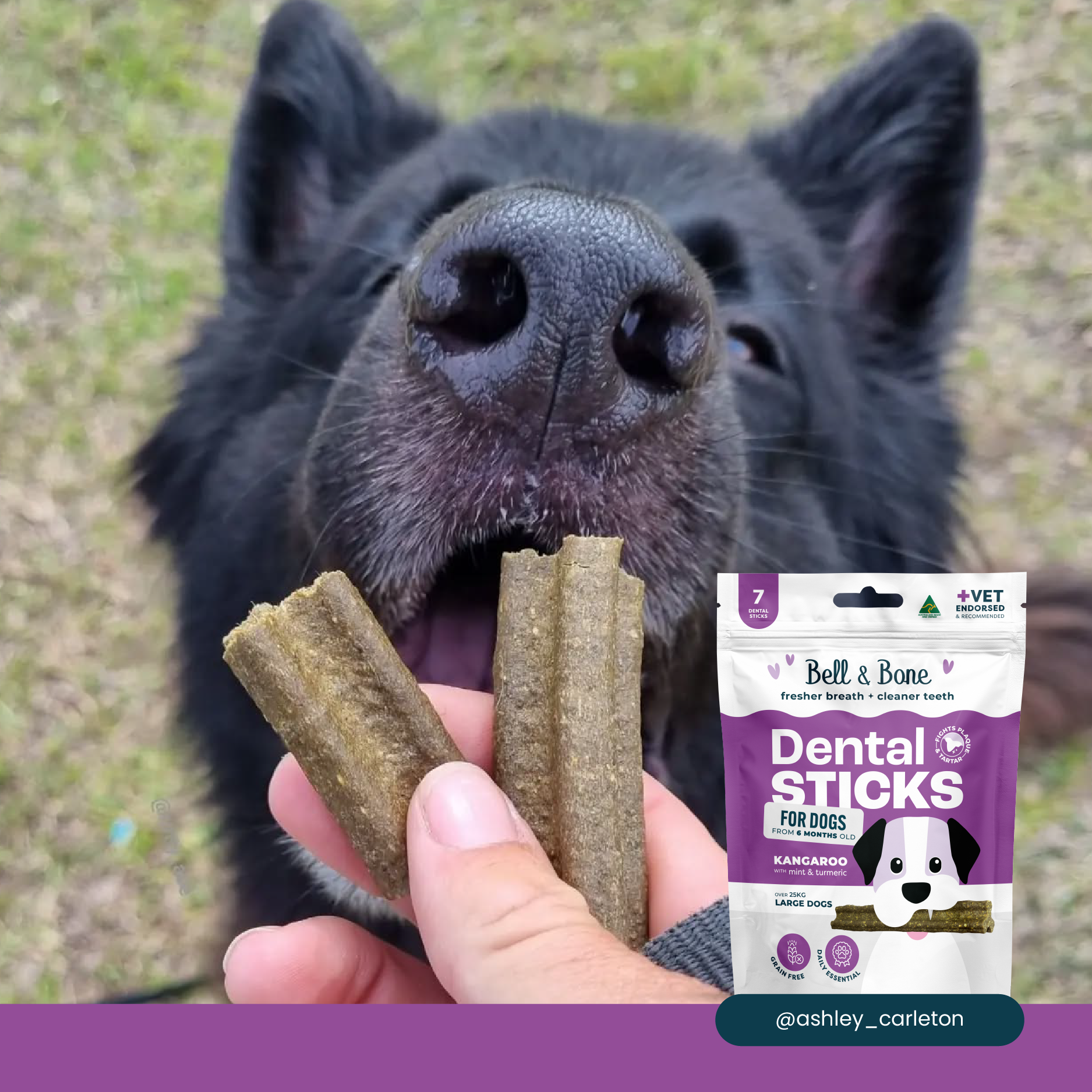 Bell & Bone Dog Dental Sticks Kangaroo Mint and Turmeric