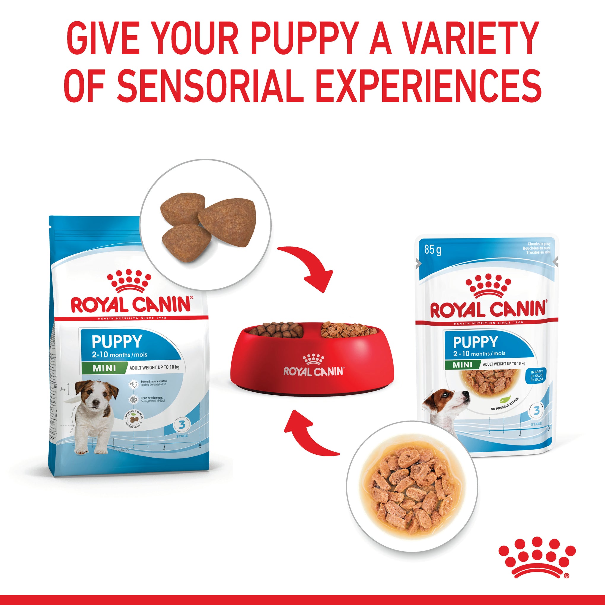 Royal Canin Mini Puppy Wet Dog Food Pouches 85g x 12