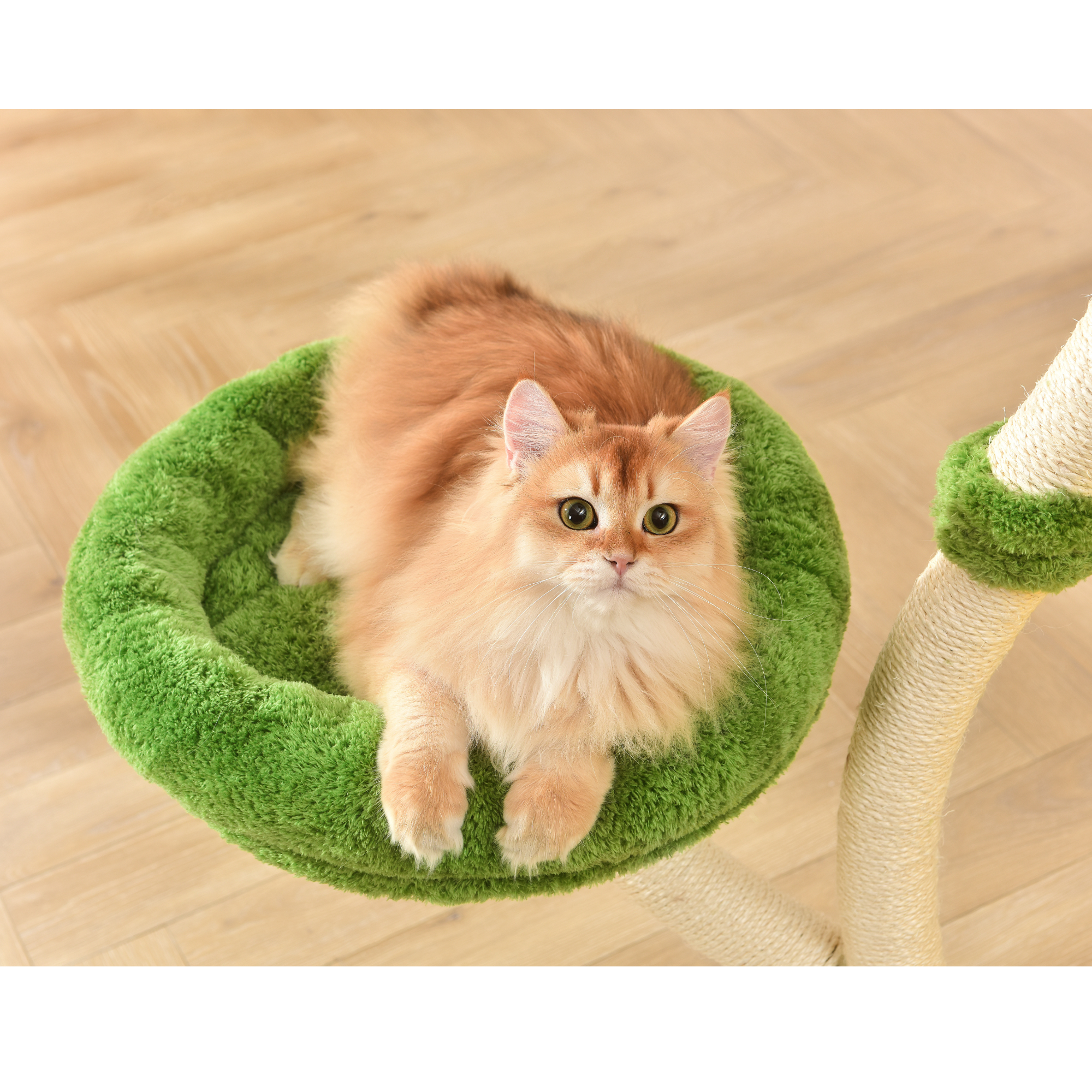 Michu Verde Solid Wooded Base Cat Tree
