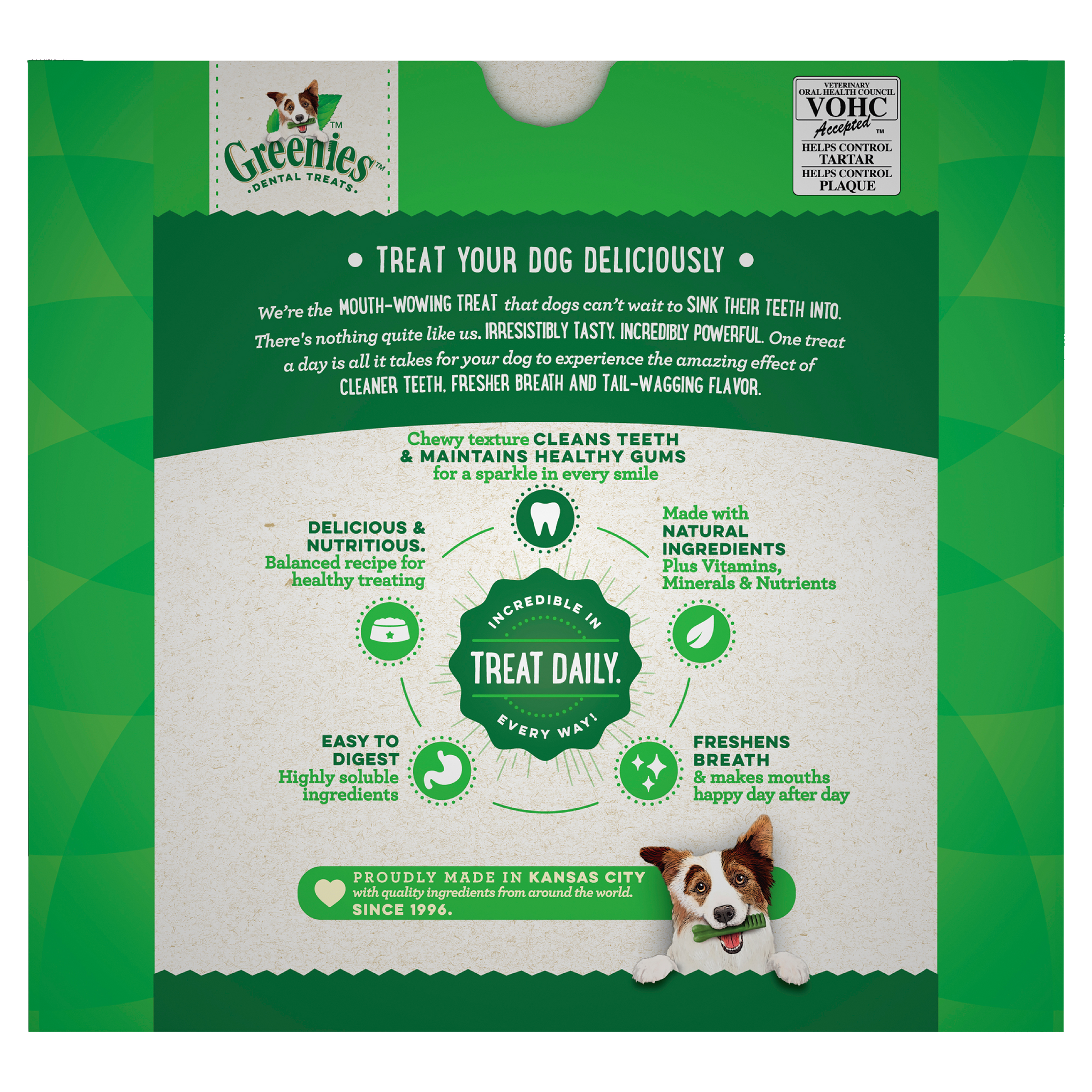 Greenies Dog Original Dental Health Treats for Regular Dogs