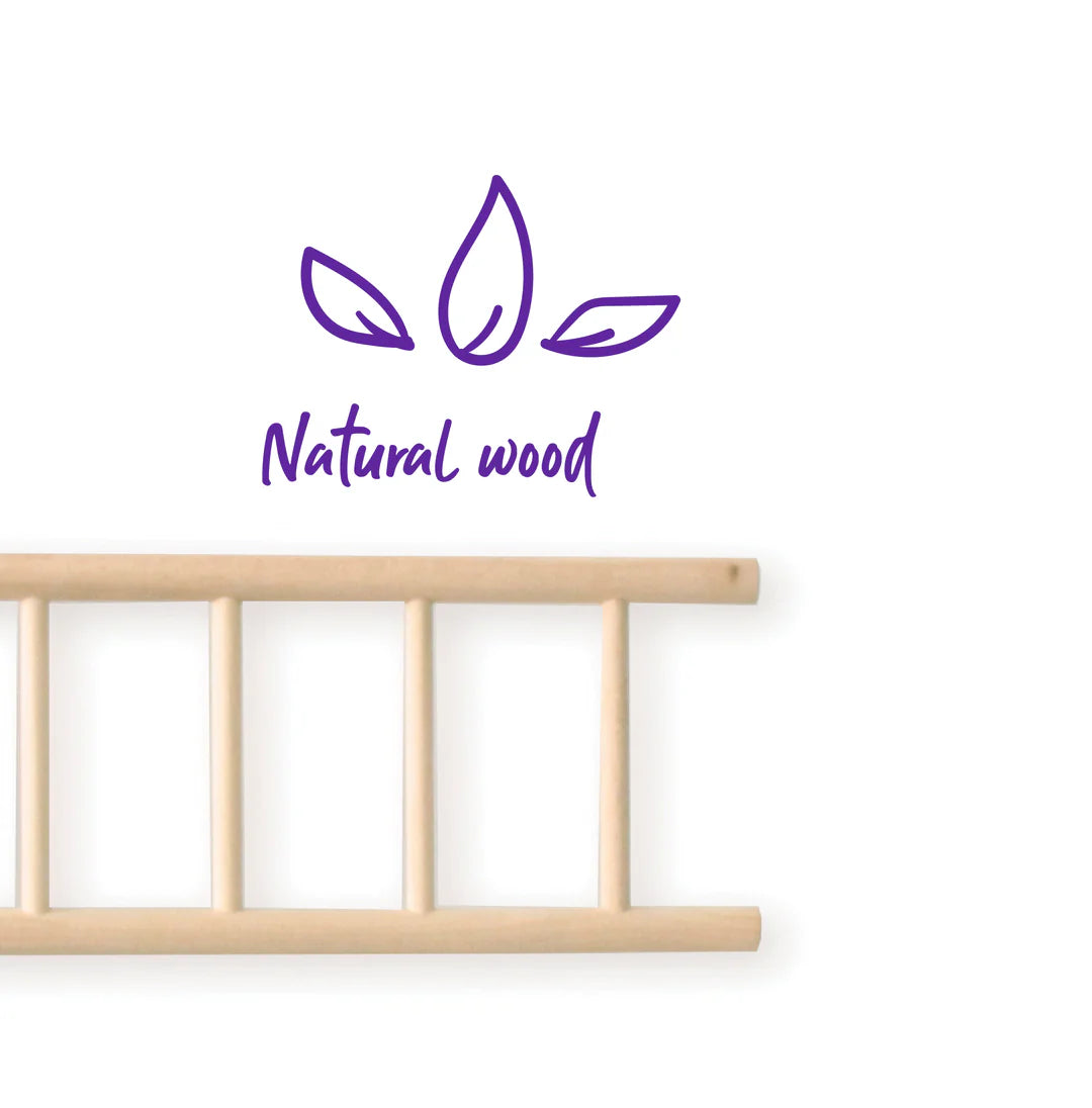 Kazoo 5-Step Bird Wooden Ladder