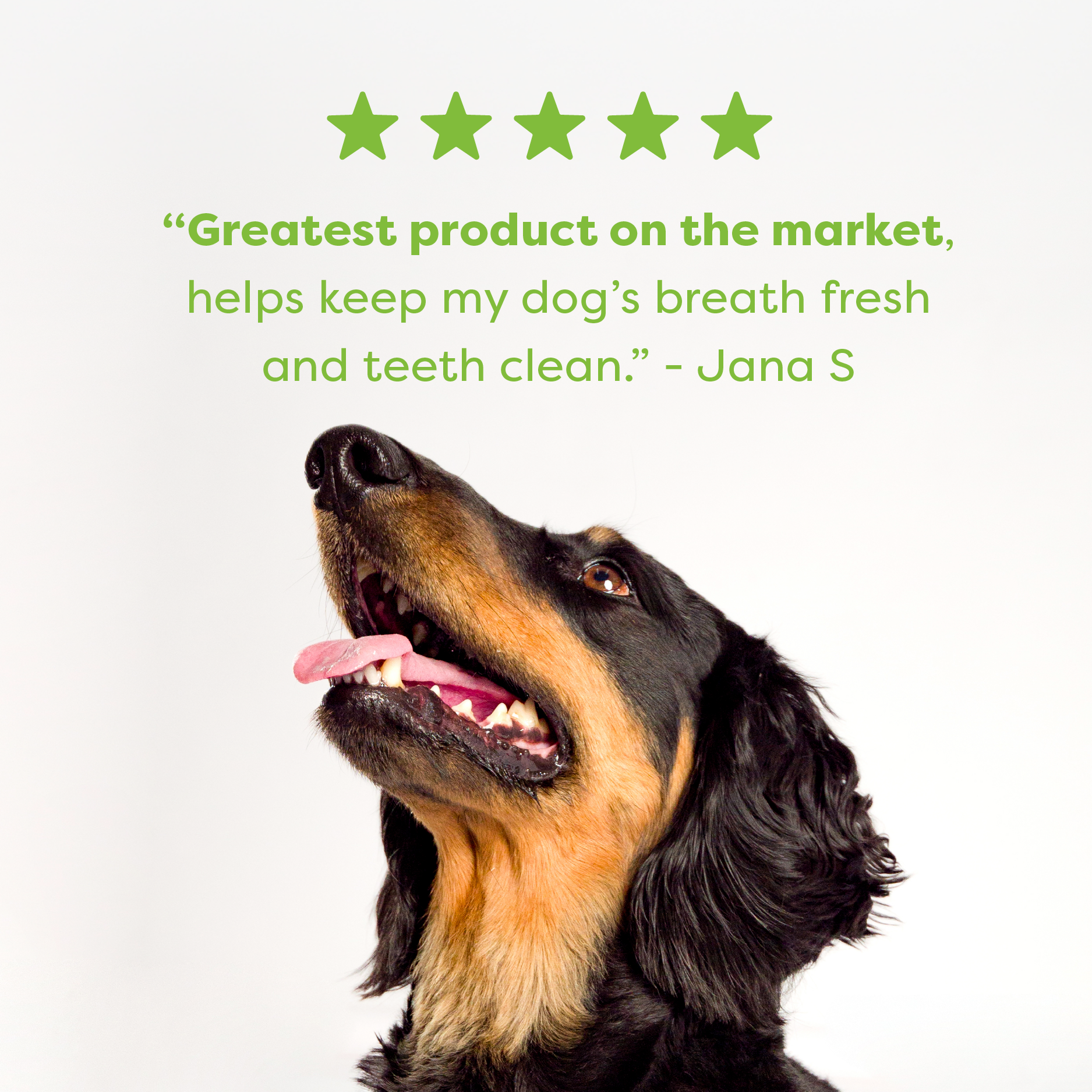 Bell & Bone Dental Sticks Chicken Mint and Seaweed