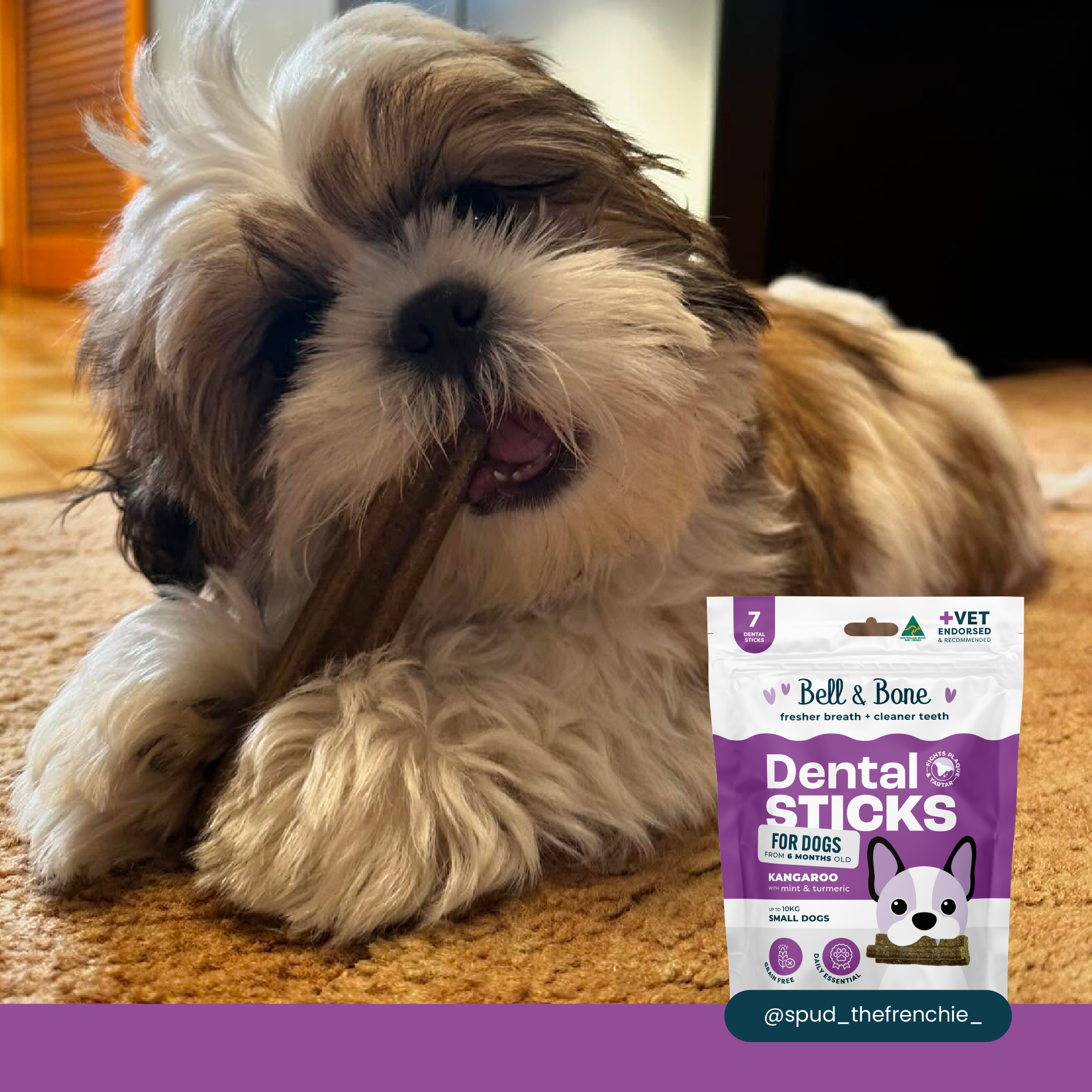 Bell & Bone Dog Dental Sticks Kangaroo Mint and Turmeric