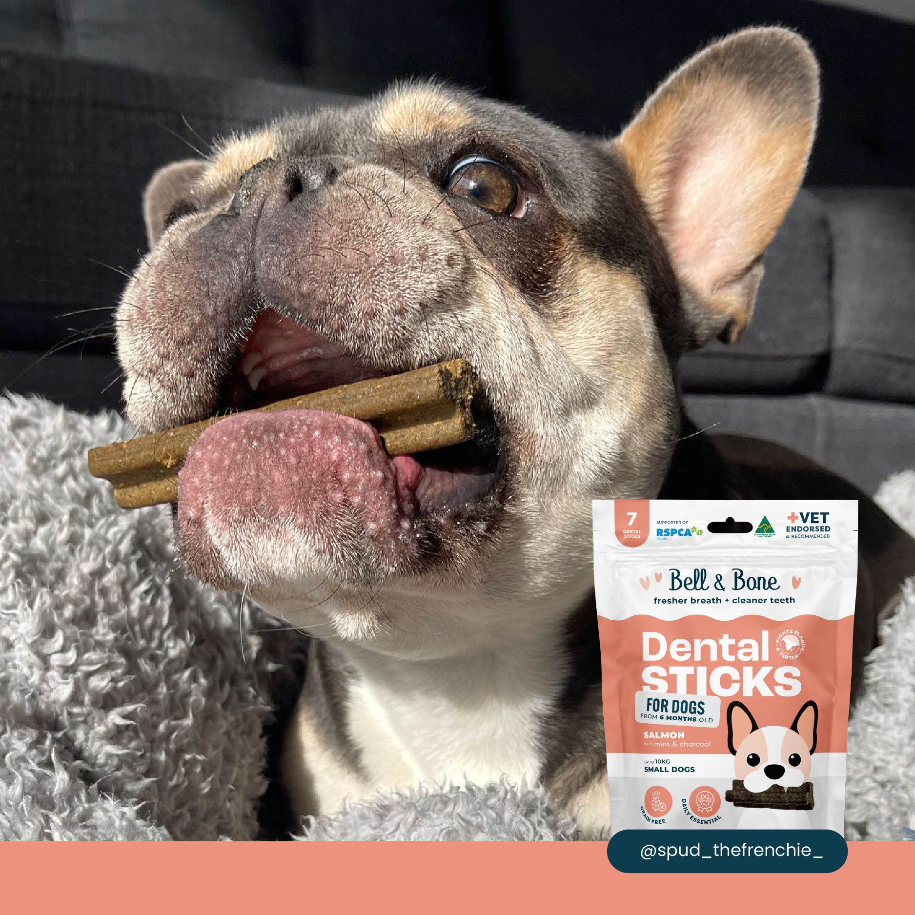 Bell & Bone Dog Dental Sticks Salmon Mint and Charcoal