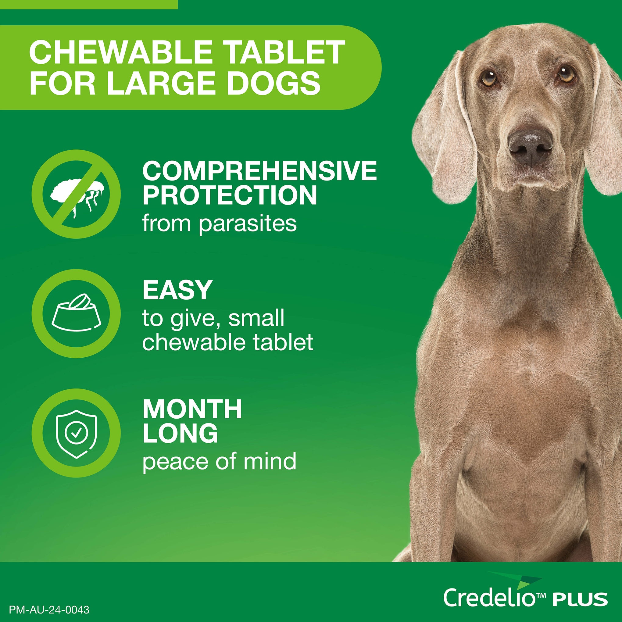 Credelio Plus Large Dog Chews 11-22kg (Green)