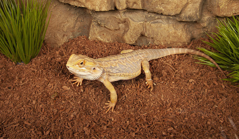 Critters Comfort Reptile Bedding Coarse 20L