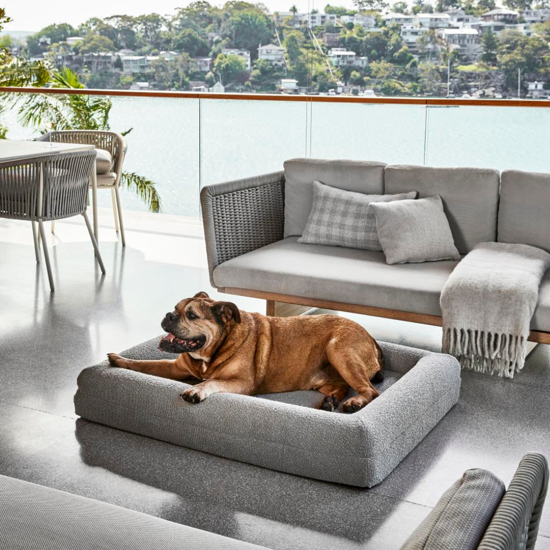 Dazy Dog Bed Cover Boucle Pebble