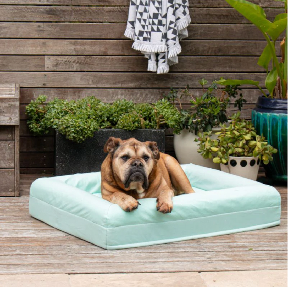Dazy Dog Bed Cover Outlast Cooling Eucalyptus