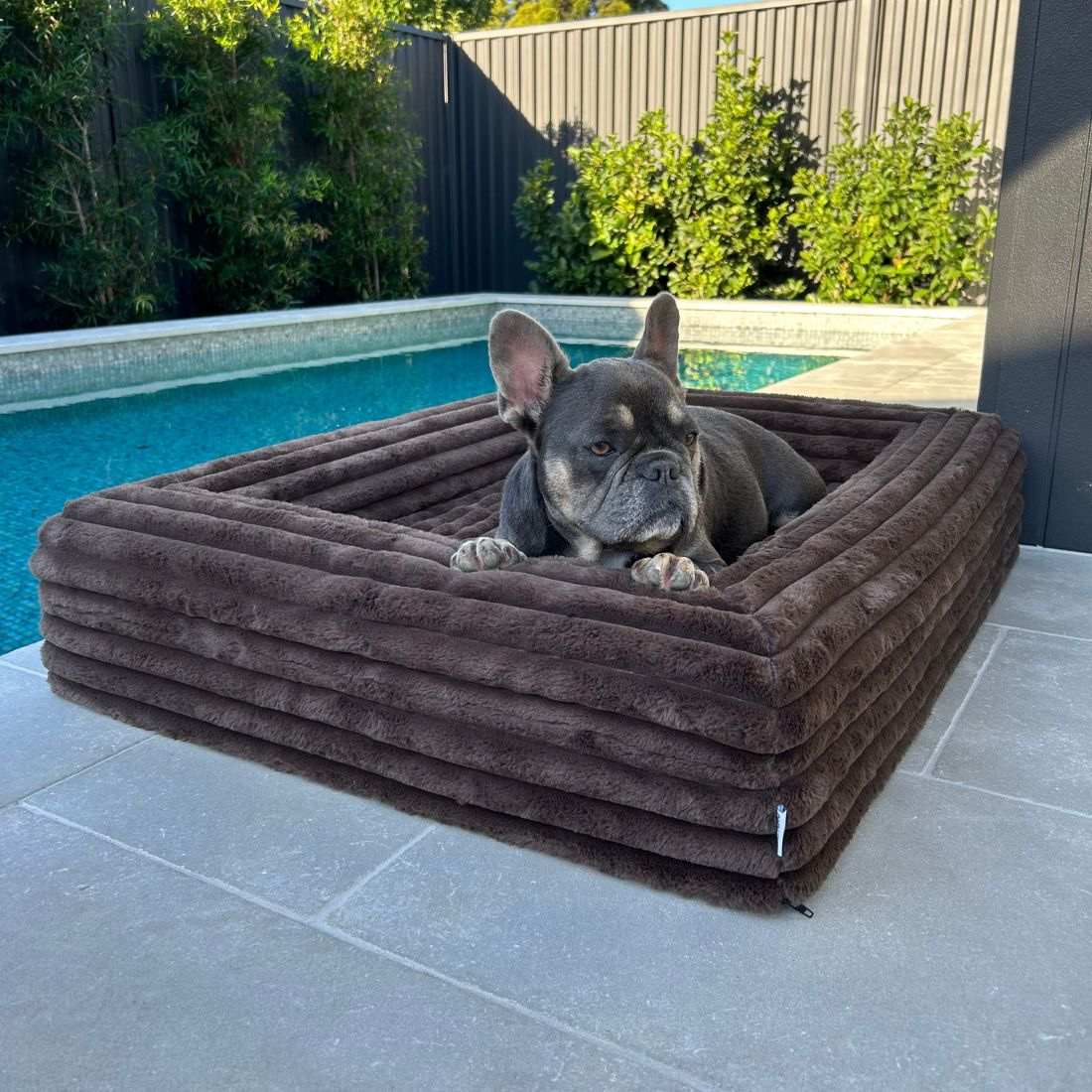 Dazy Dog Orthopedic Memory Foam Dog Bed Puffer Truffle