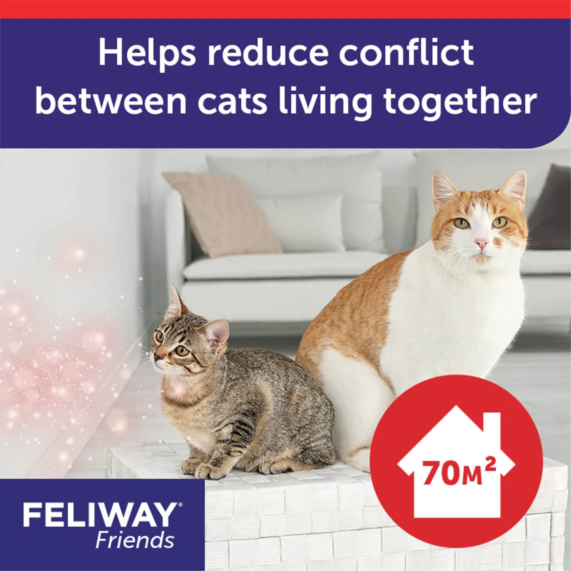 Feliway Friends Diffuser & Refill 48ml