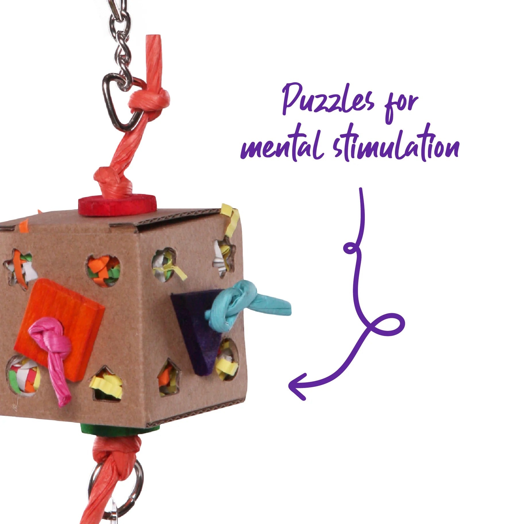 Kazoo Cardboard Activity Box with Bell Bird Toy Large