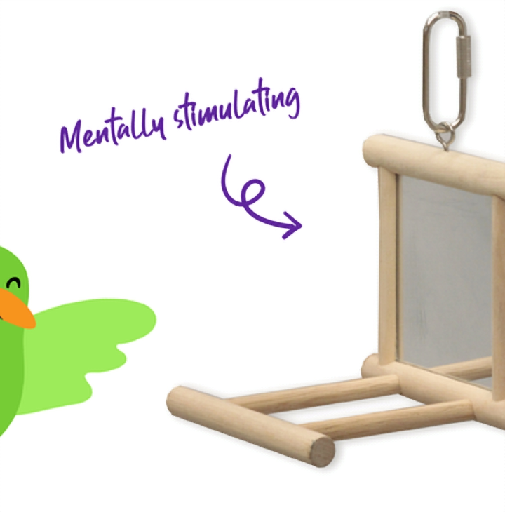 Kazoo Mirror with Wooden Perch Bird Toy Medium